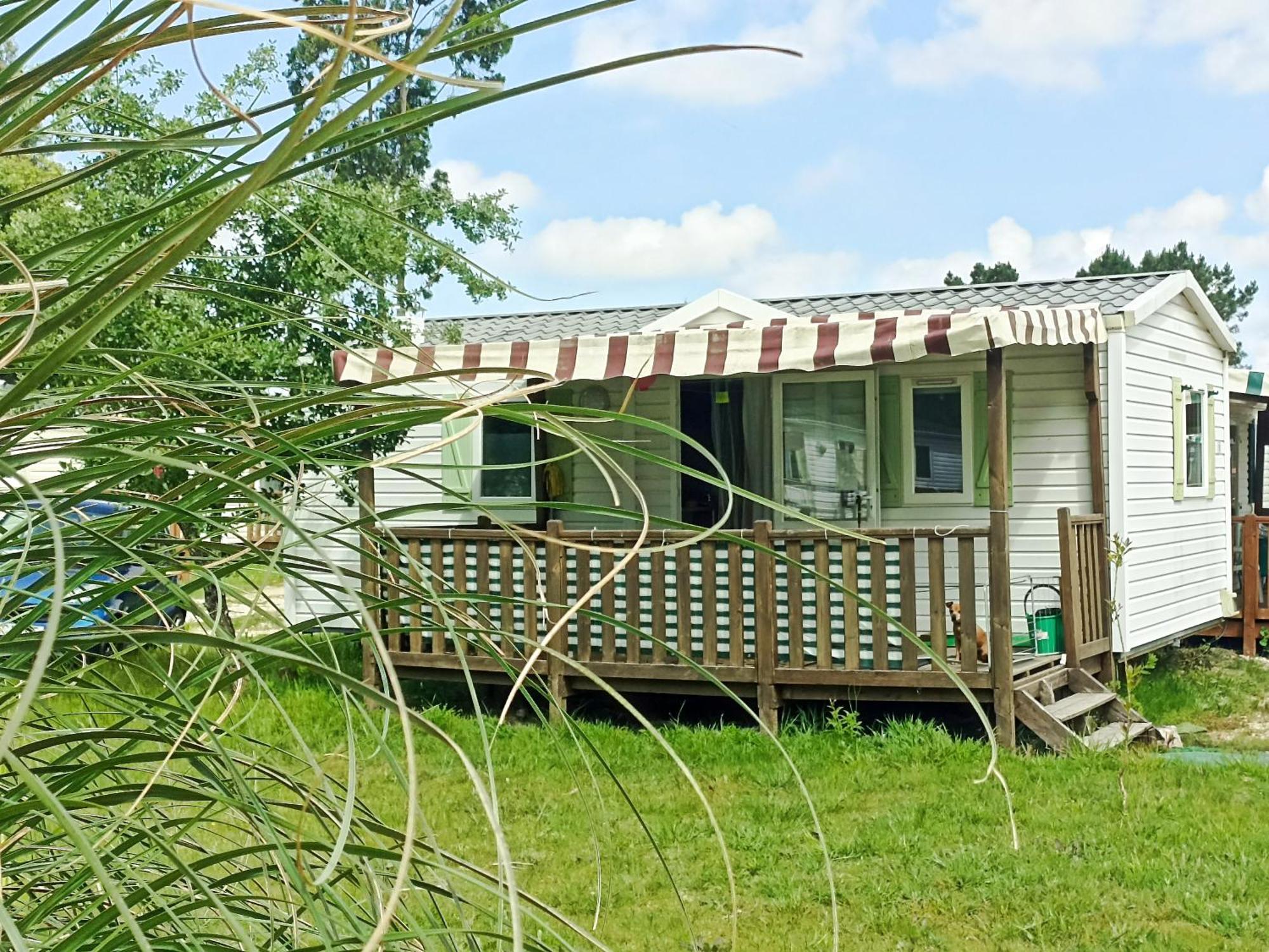 Tinyhouse Tilda - Near Famous Beaches Pataias Dış mekan fotoğraf