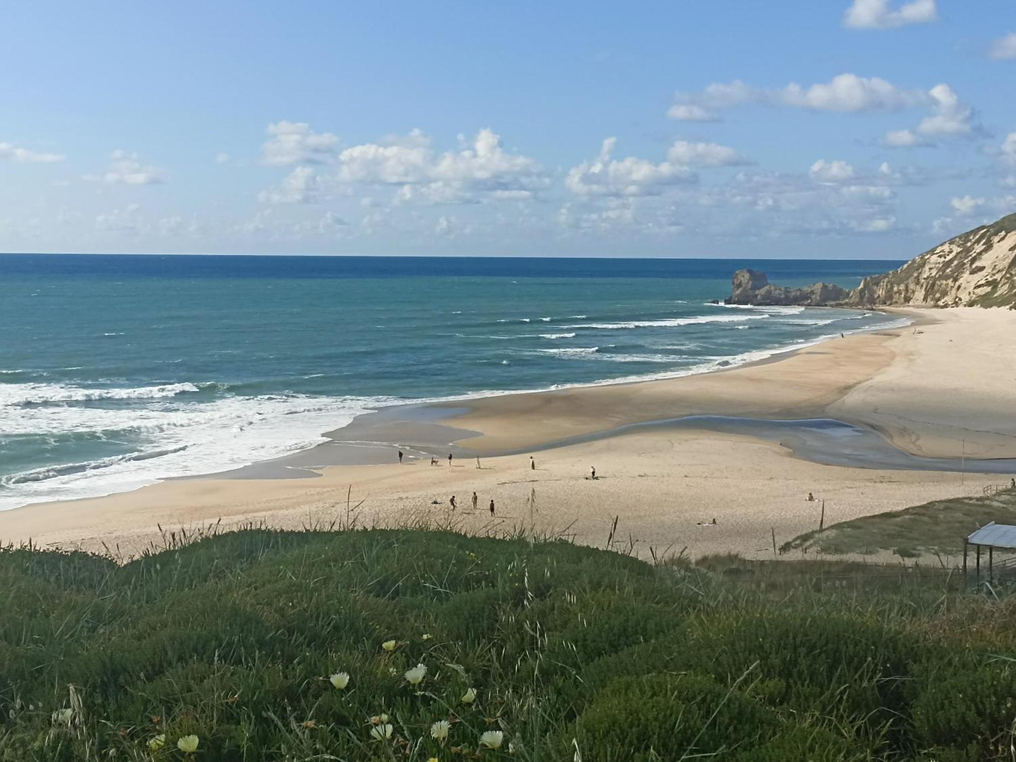 Tinyhouse Tilda - Near Famous Beaches Pataias Dış mekan fotoğraf