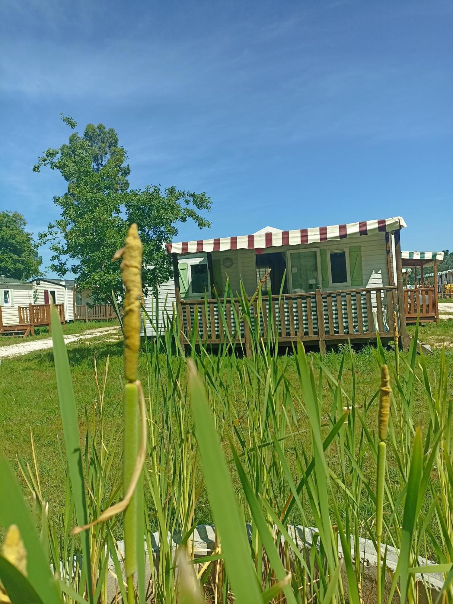 Tinyhouse Tilda - Near Famous Beaches Pataias Dış mekan fotoğraf